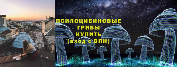 mix Богородицк